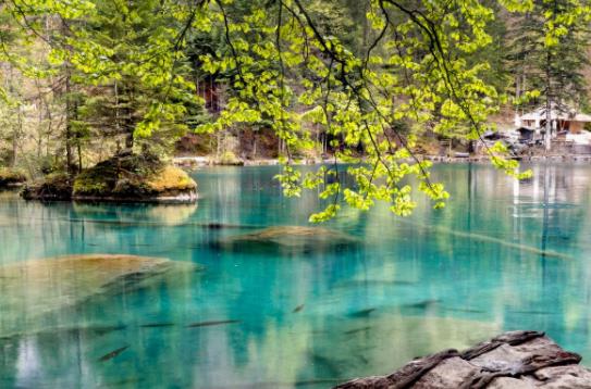 从环保人角度,认识污水处理工艺选择时考虑的3大因素! 从环保人角度,认识污水处理工艺选择时考虑的3大因素!