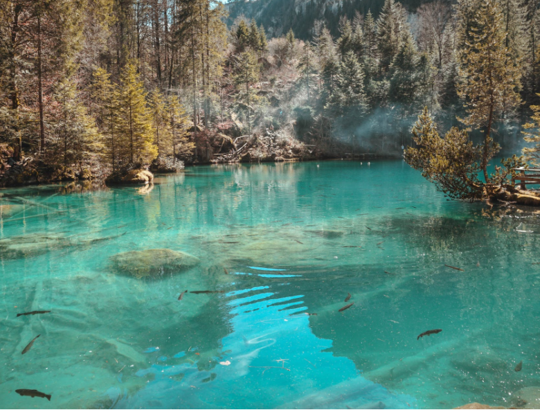 1649406251788648.png 微信截图_20220401133602.png