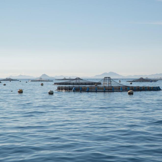 1655711365416336.jpg 养殖.jpg