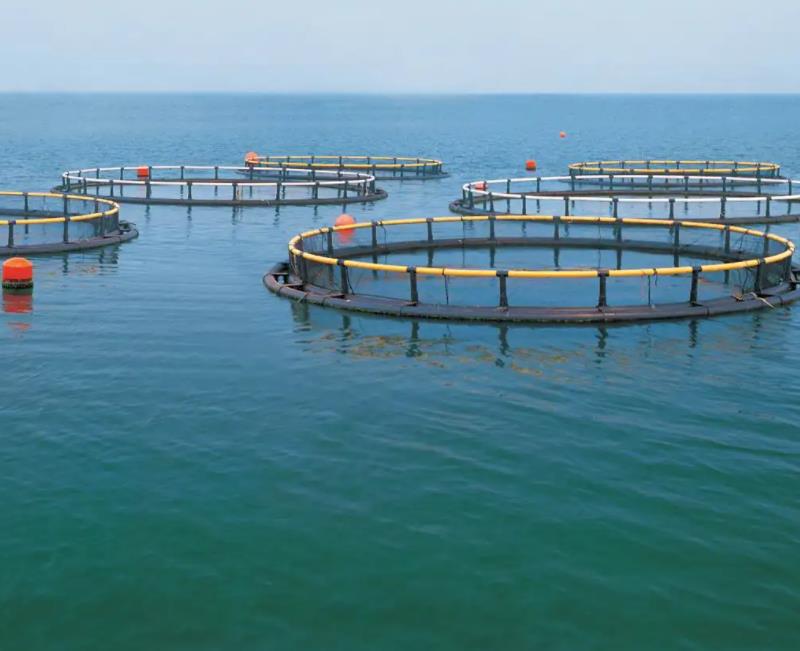 1658300874993695.jpg 养殖1.jpg