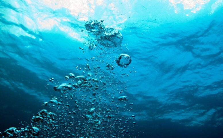 1681787692672673.jpeg 溶解氧.jpeg