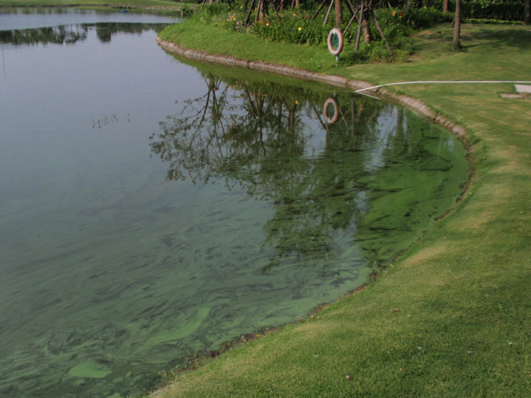 1684915916257816.png 浑浊.png