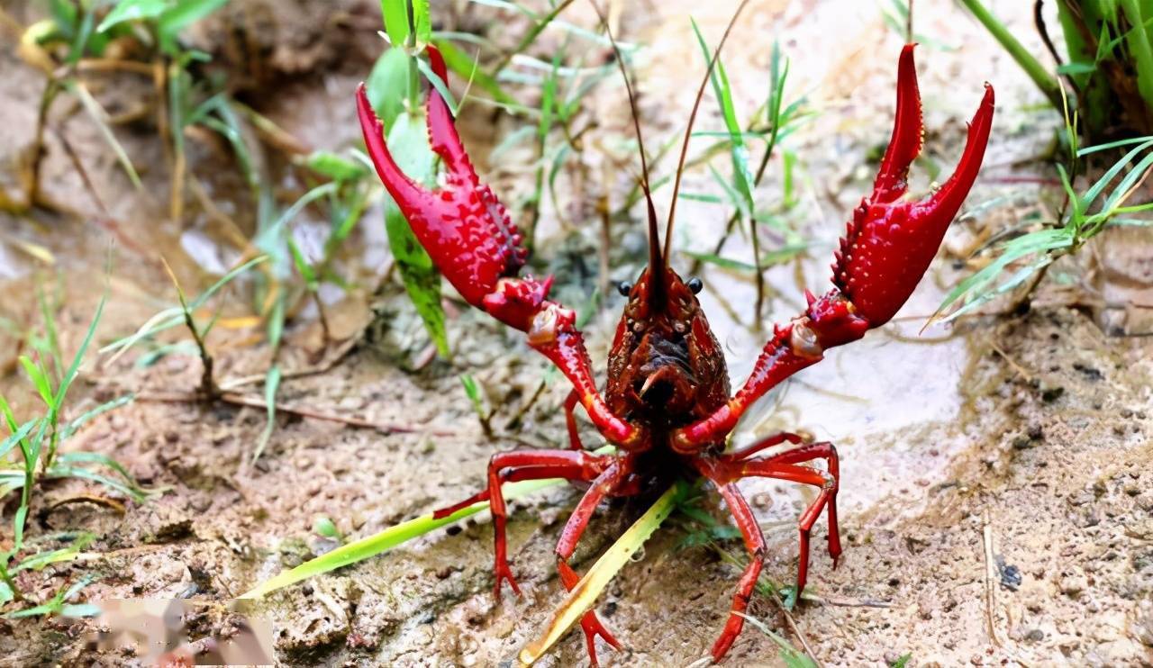 1713496140970267.png 1713496140970267.png