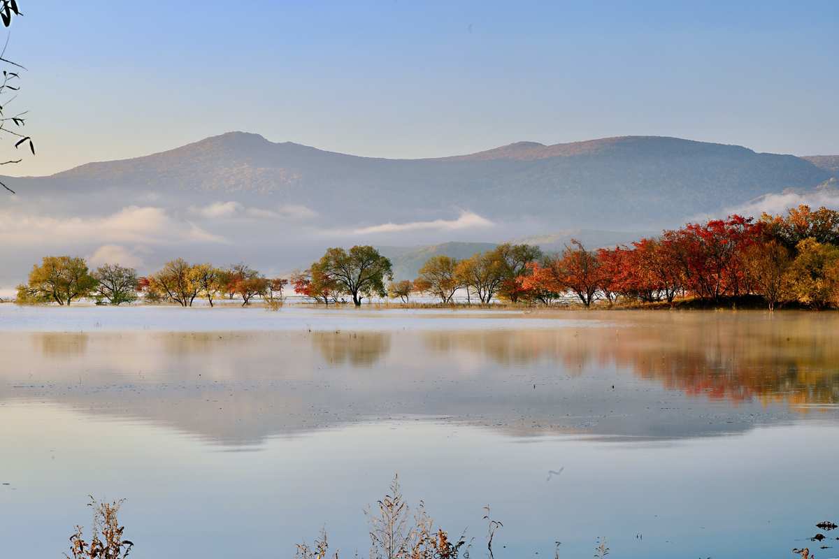 1724825779461388.jpg 1724825779461388.jpg