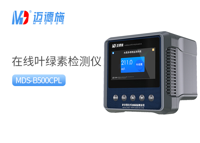 1730353406456653.jpg 叶绿素.jpg