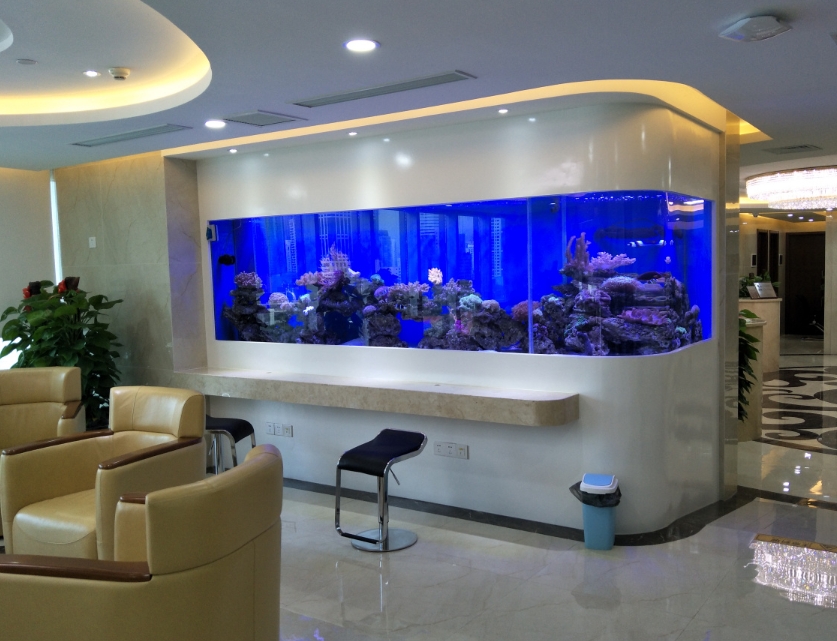 1733123474511392.jpg 1733123474511392.jpg