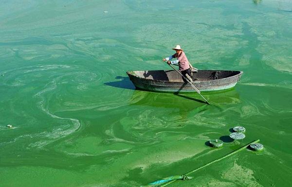 1736140984749478.jpg f9458b9575a6da630af95b1ebcc51e62_1735956828110484.jpg