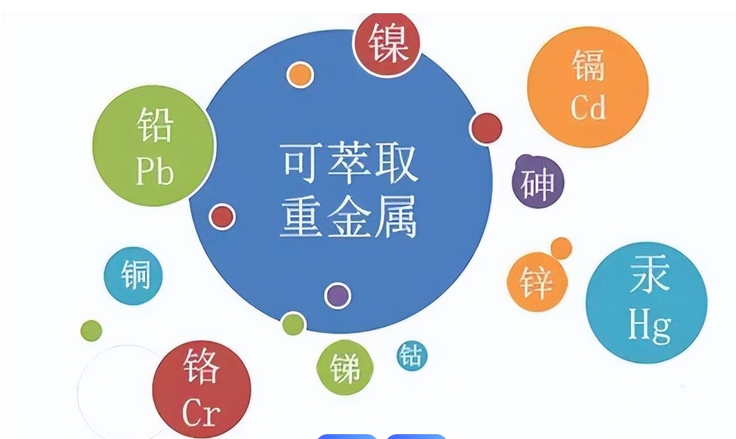 1736834674599016.jpg 1736834674599016.jpg