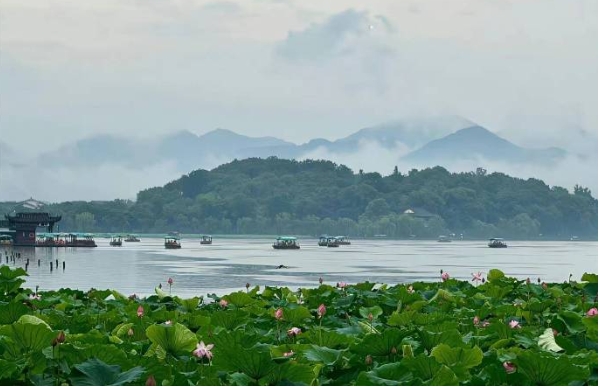 1747032300641733.jpg 下雨.jpg