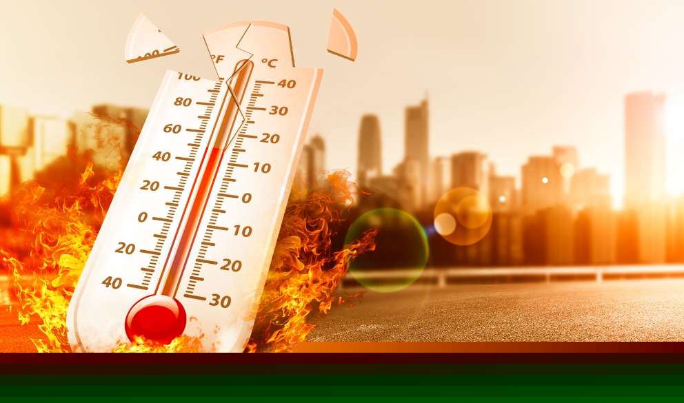 1752472891179833.png 1752472891179833.png