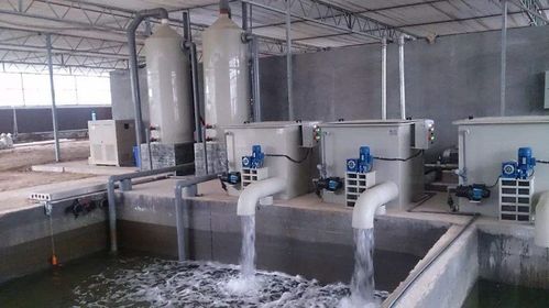 1756176605775243.jpeg 工业循环水.jpeg