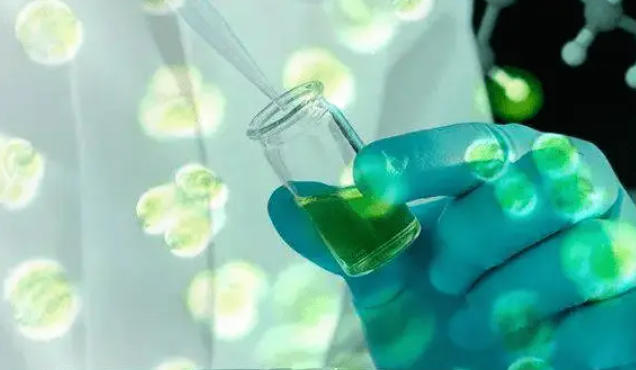 1758263045100244.jpg 微藻制药.jpg