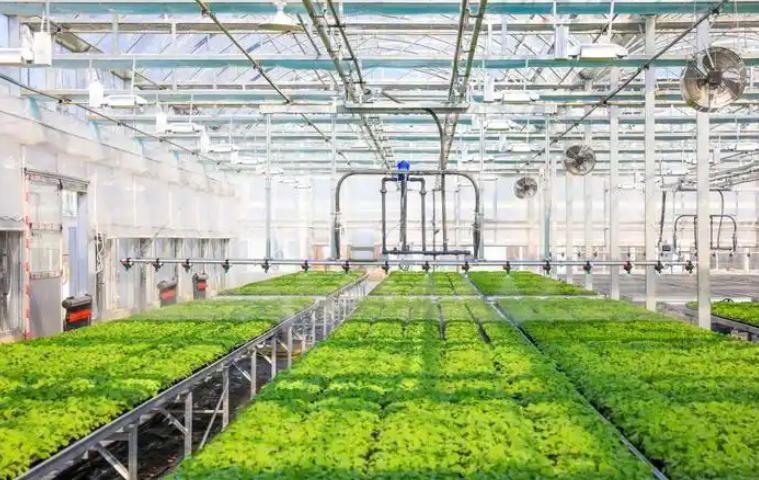 1763001502755035.jpg 育苗基质厂.jpg