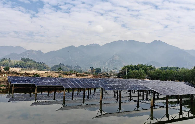 1765418597207947.jpg 渔光互补项目.jpg