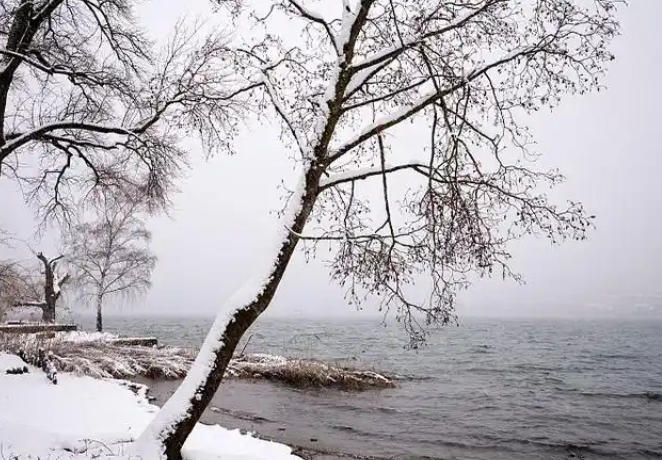 1767664226154728.jpg 下雪.jpg