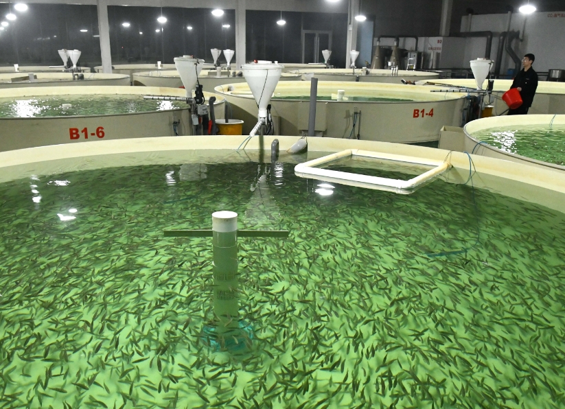 水产育苗.png