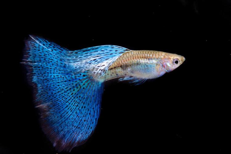 1768788799249599.jpg 6d0554cb3a5aa1b3256ff9ed66ad8daa_1768528091251184.jpg