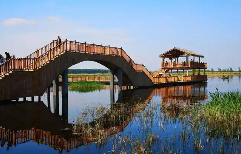 湿地公园.jpg